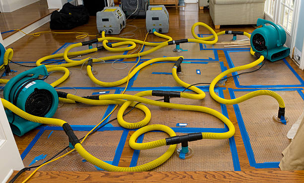 Professional Crawl Space Water Removal technician working in Josephine, TX